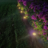 Garden Right Solar Lights™