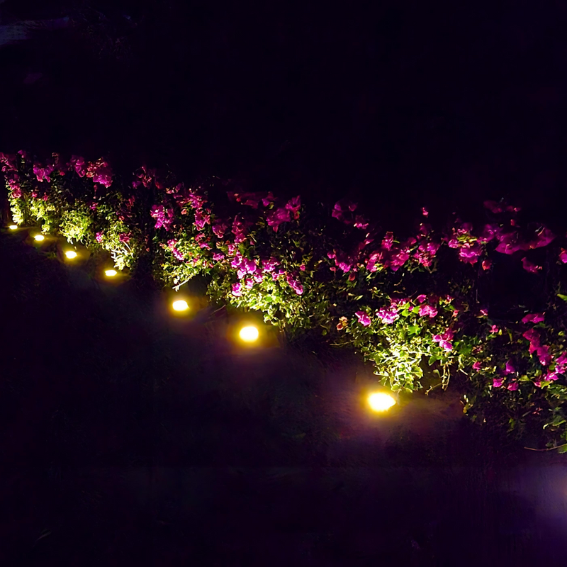 Garden Right Solar Lights™